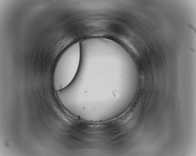 X0000095940541200801110856