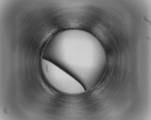 X0000095940542200801110856