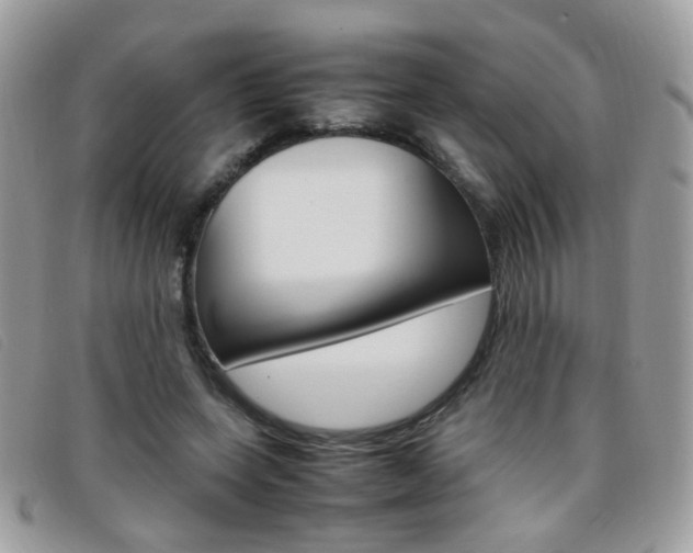 X0000095940543200801110856