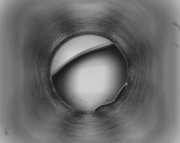 X0000095940544200801110856