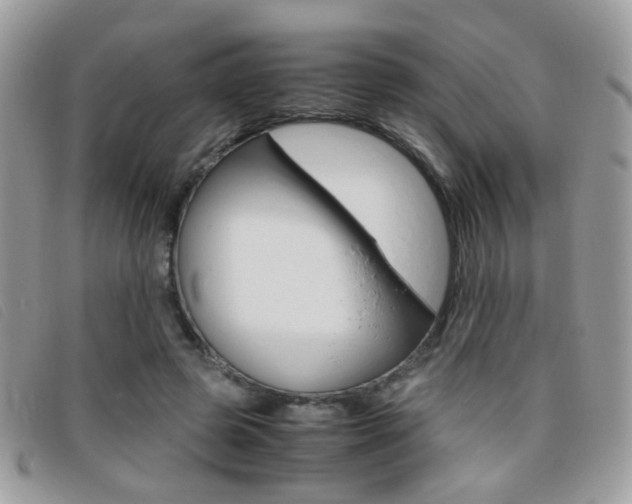 X0000095940545200801110857