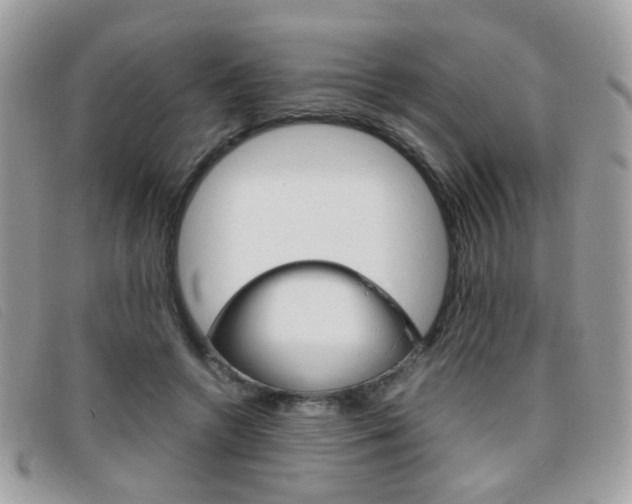 X0000095940546200801110857