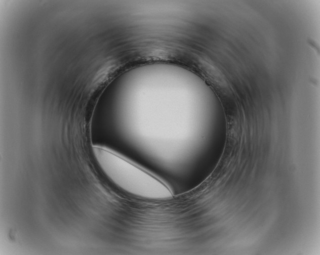 X0000095940548200801110857