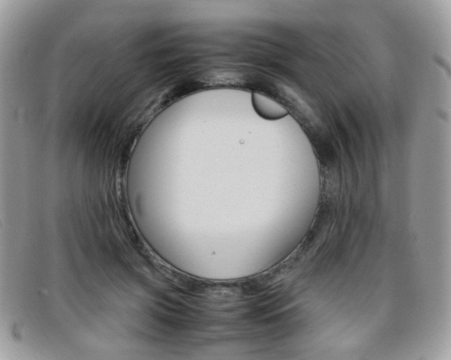 X0000095940549200801110857