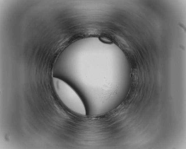 X0000095940550200801110857
