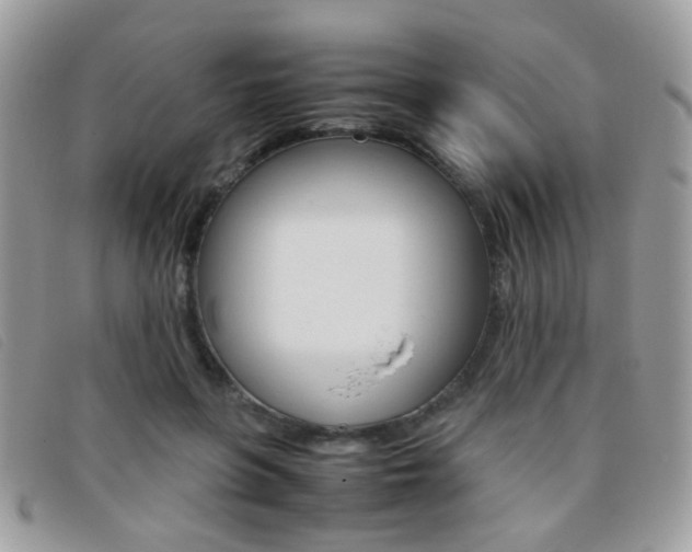 X0000095940551200801110857