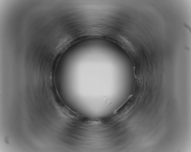 X0000095940552200801110857