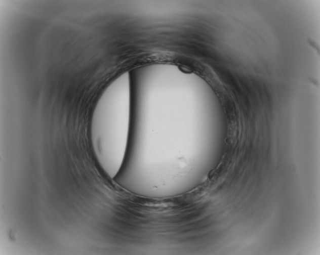 X0000095940553200801110857