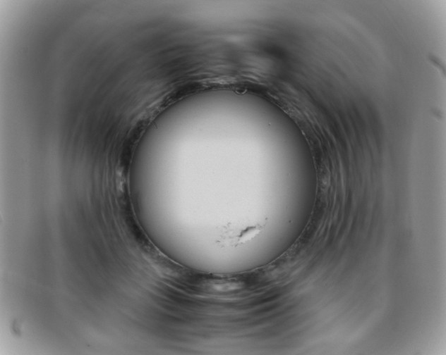 X0000095940555200801110857