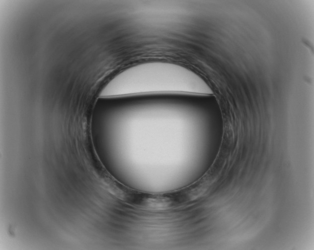 X0000095940556200801110857