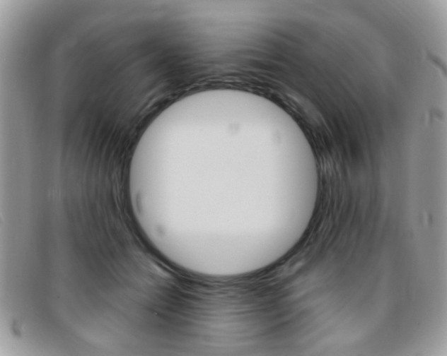 X0000095940558200801110857