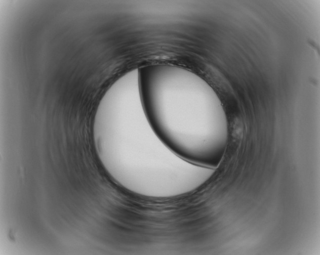 X0000095940559200801110857
