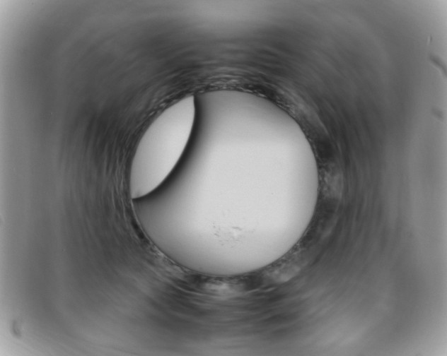 X0000095940561200801110857