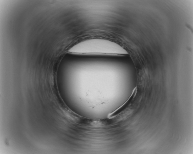 X0000095940562200801110857