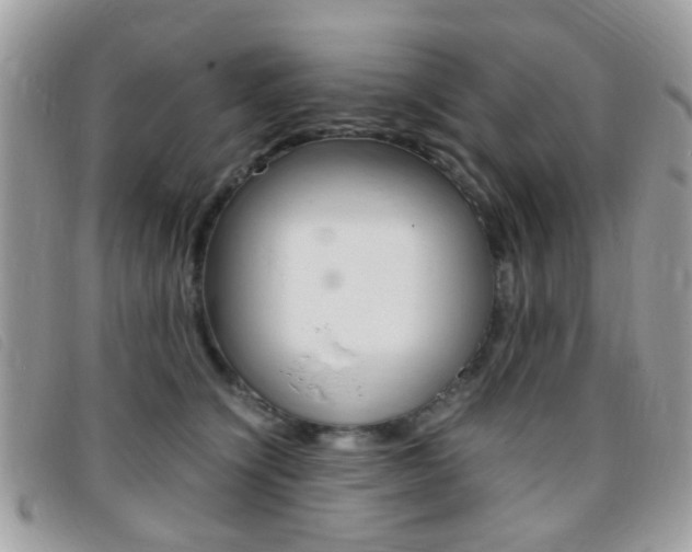 X0000095940564200801110857