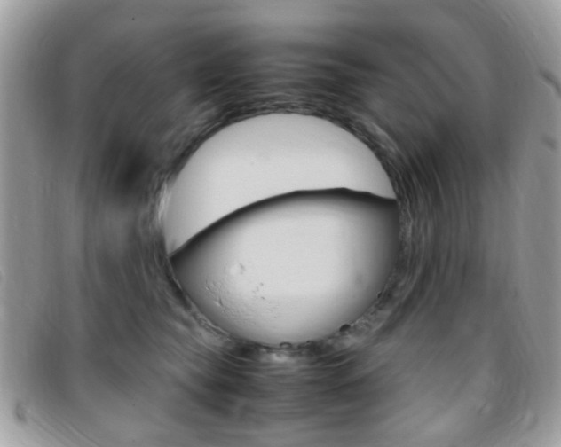 X0000095940565200801110857