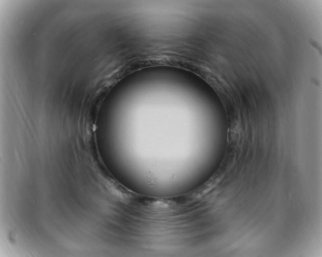 X0000095940566200801110857