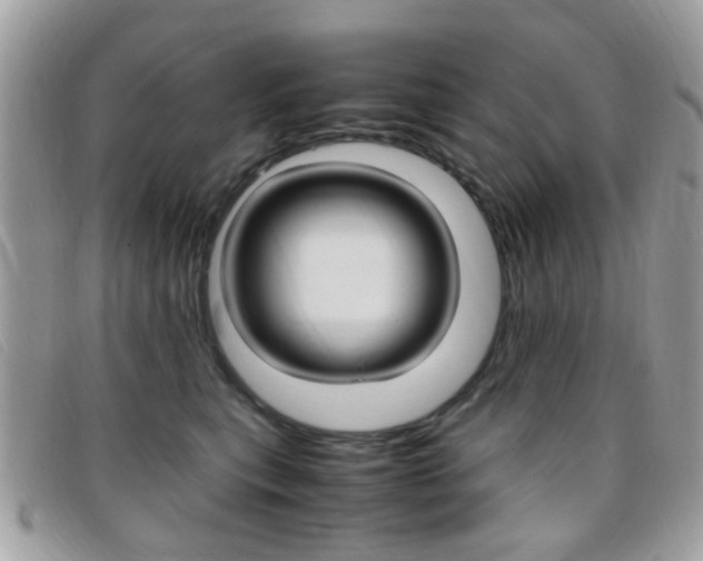 X0000095940567200801110857