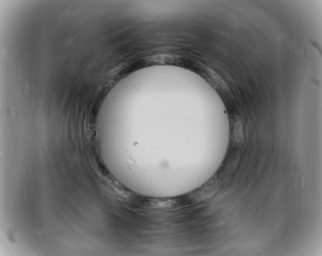 X0000095940569200801110857