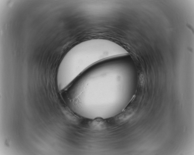 X0000095940570200801110857