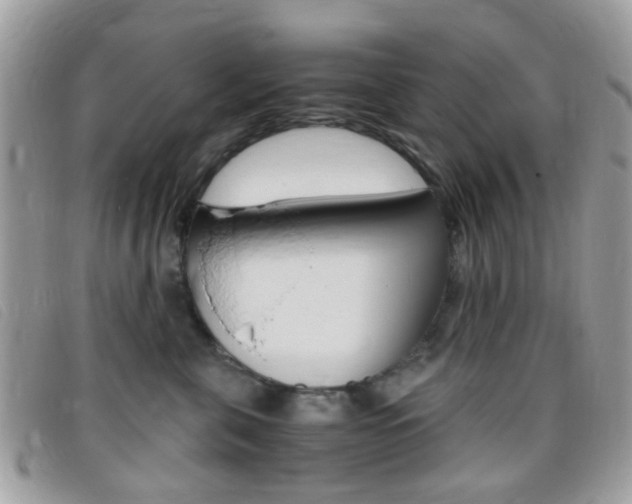 X0000095940571200801110857