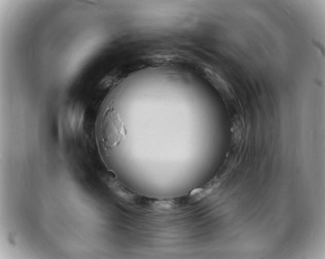 X0000095940574200801110857