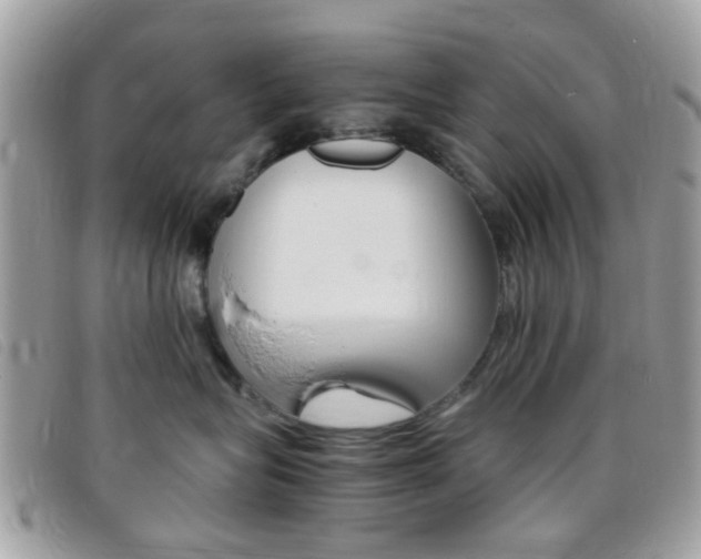 X0000095940575200801110857