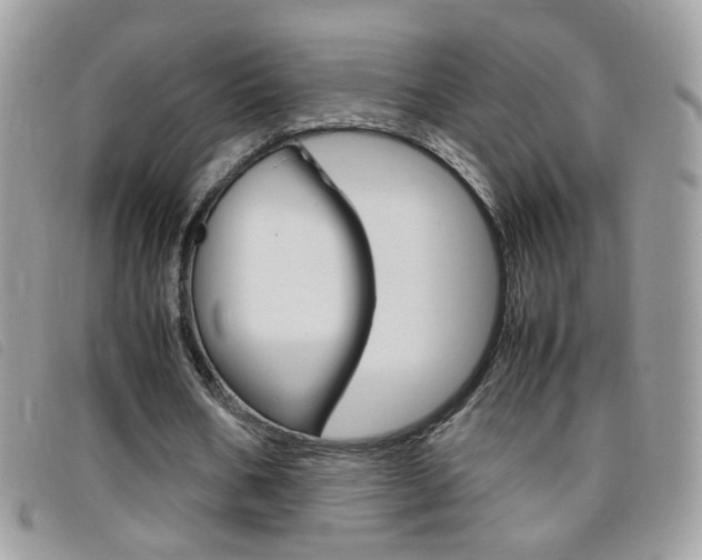 X0000095940578200801110856