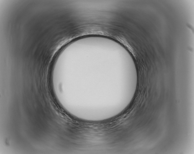 X0000095940579200801110856