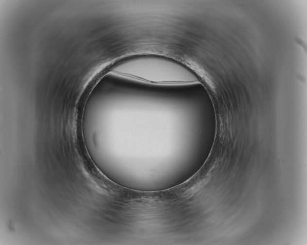 X0000095940580200801110856