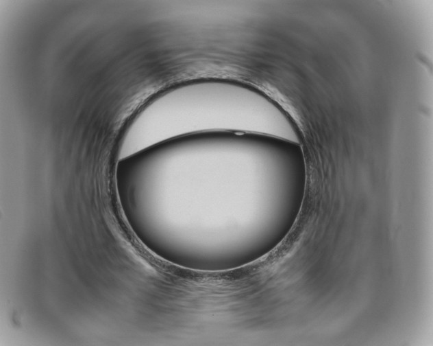 X0000095940581200801110856
