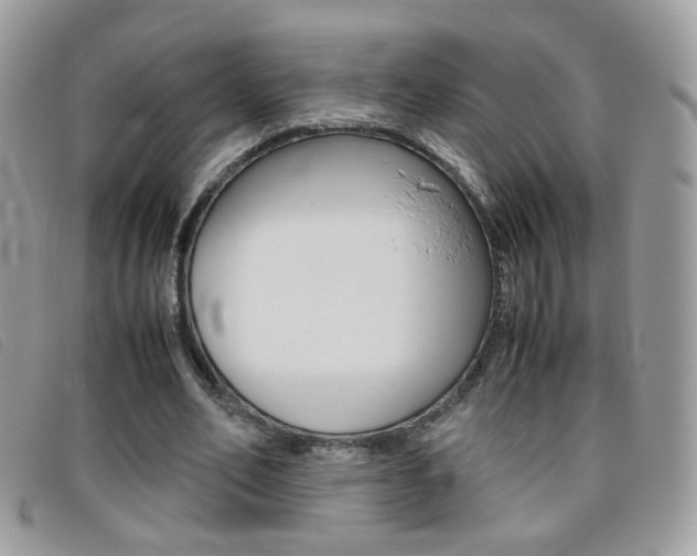 X0000095940582200801110856
