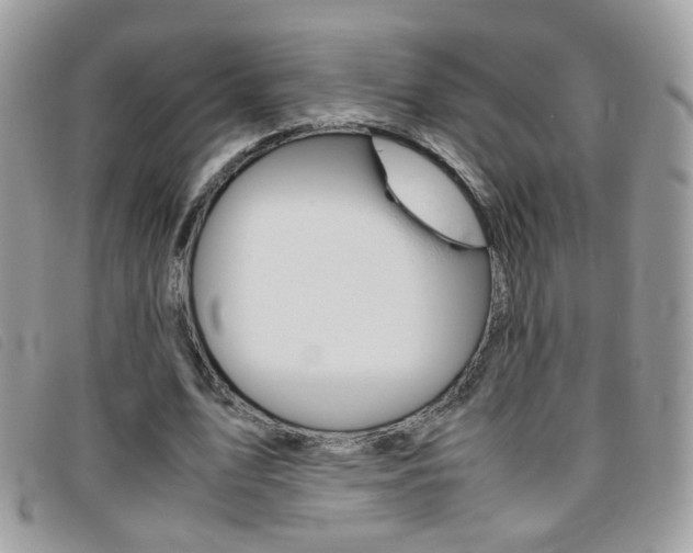 X0000095940583200801110856