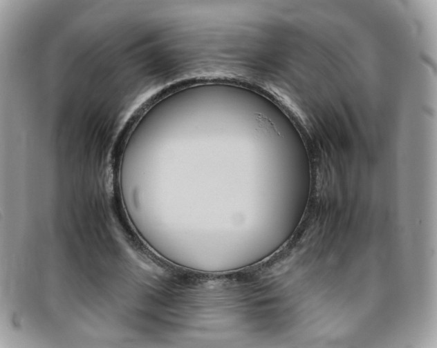 X0000095940584200801110856