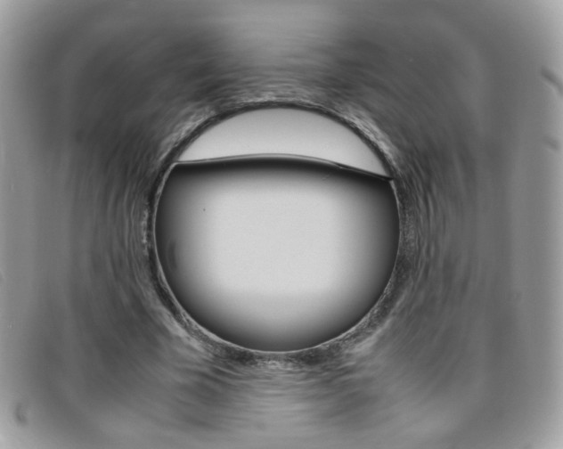 X0000095940585200801110856