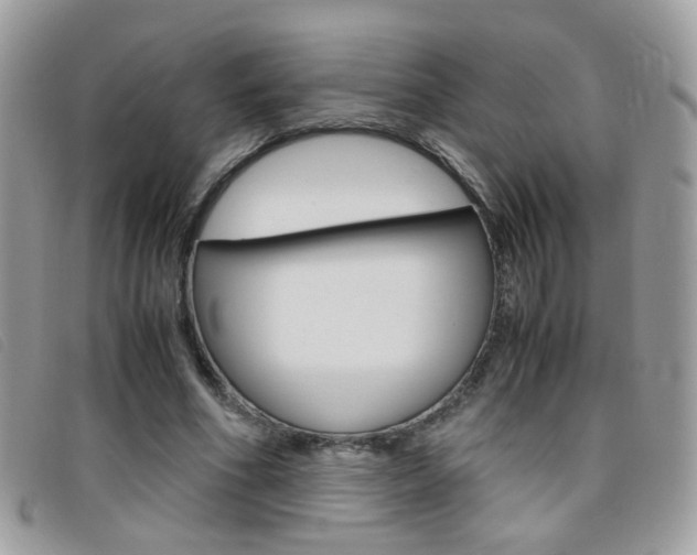 X0000095940586200801110856