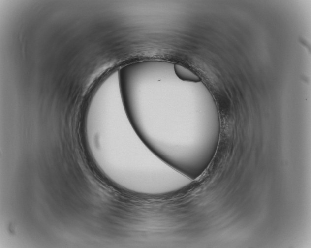 X0000095940587200801110856