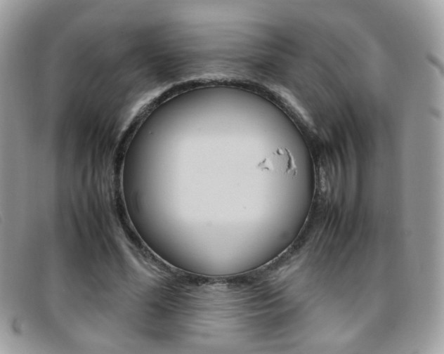 X0000095940588200801110856