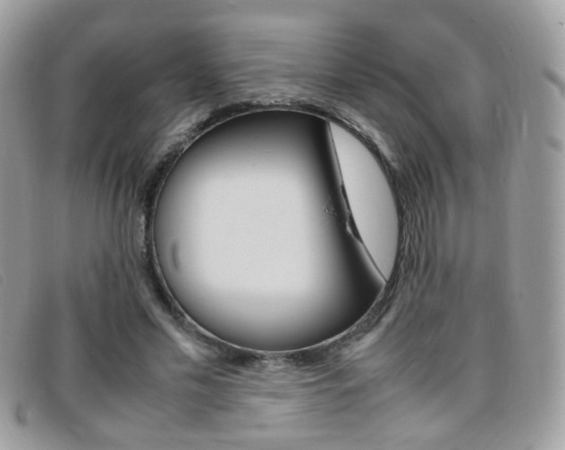 X0000095940589200801110856
