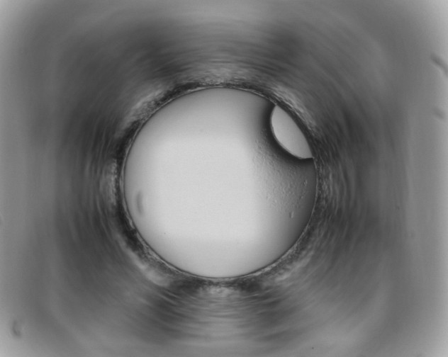 X0000095940590200801110856