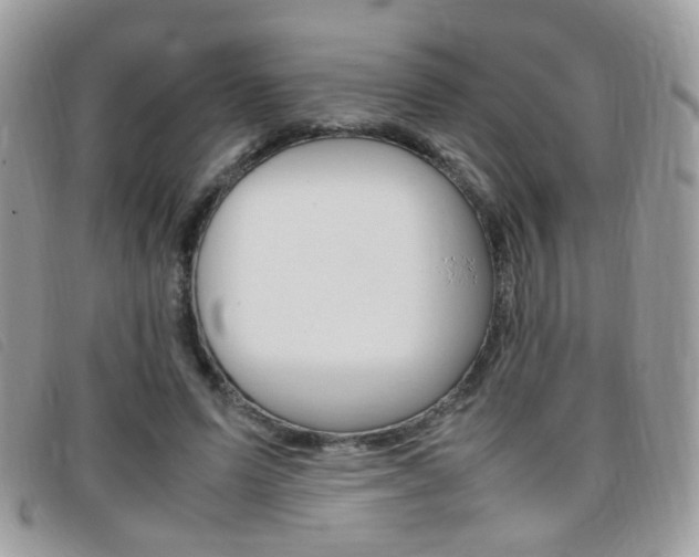 X0000095940591200801110856