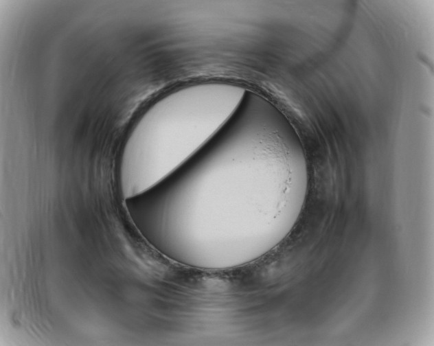 X0000095940592200801110856