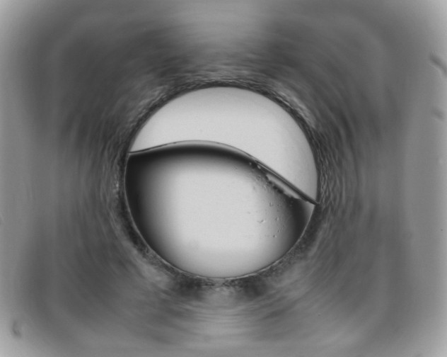 X0000095940593200801110856