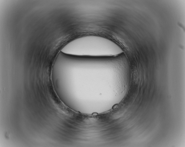 X0000095940594200801110856