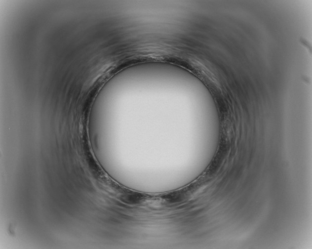 X0000095940595200801110856