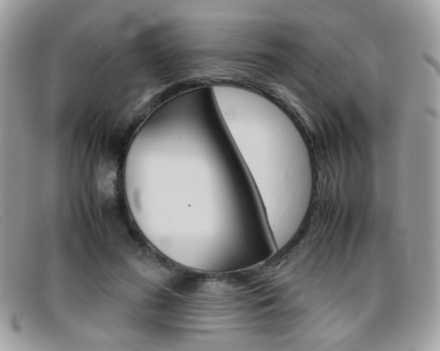 X0000095940596200801110856