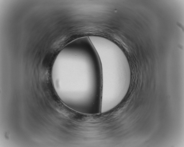 X0000095940597200801110856