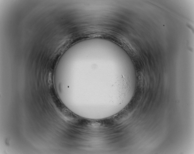 X0000095940598200801110856