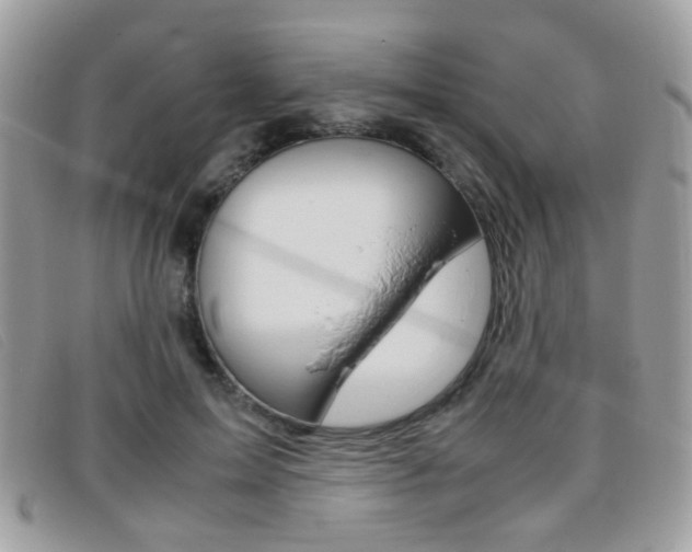 X0000095940599200801110856