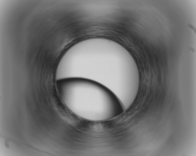 X0000095940600200801110856